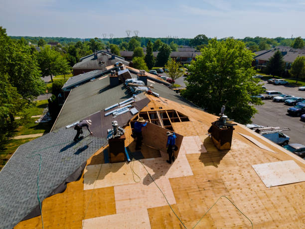 Roof Gutter Cleaning in Pine Crest, TN